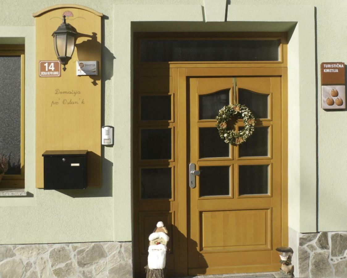 Apartmaji Hribar Pr'Ostank Kamnik Exterior photo
